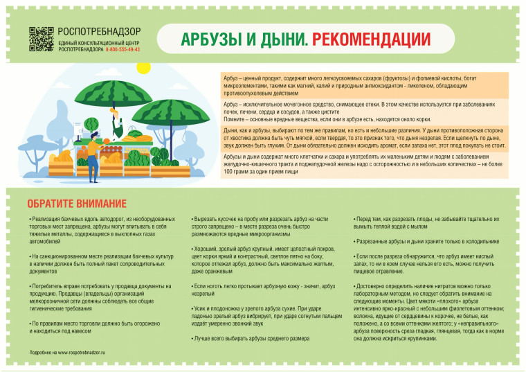 АРБУЗЫ и ДЫНИ. РЕКОМЕНДАЦИИ.